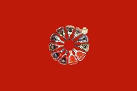 宜昌市夷陵区回收红酒